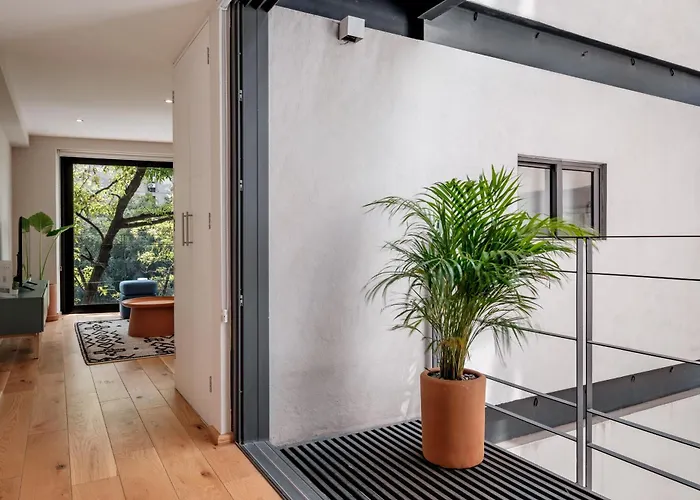 Modern Apartments La Condesa Pet Friendly